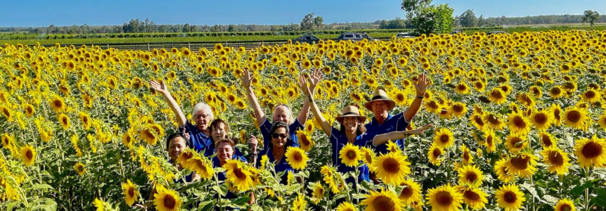 Field of sunflowers with happy capecare volunteers waving