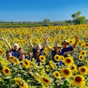 Field of sunflowers with happy capecare volunteers waving