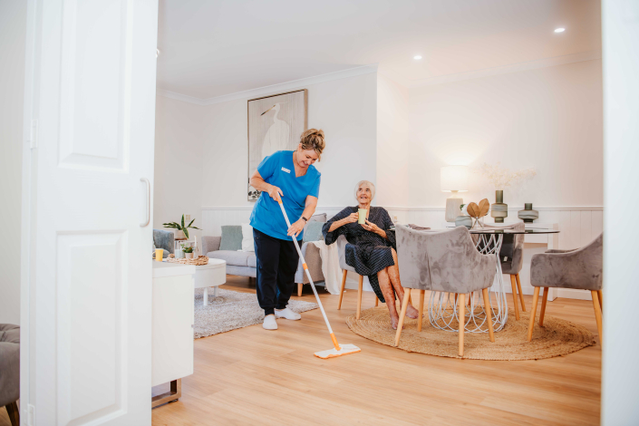 Domestic assistance - cleaning